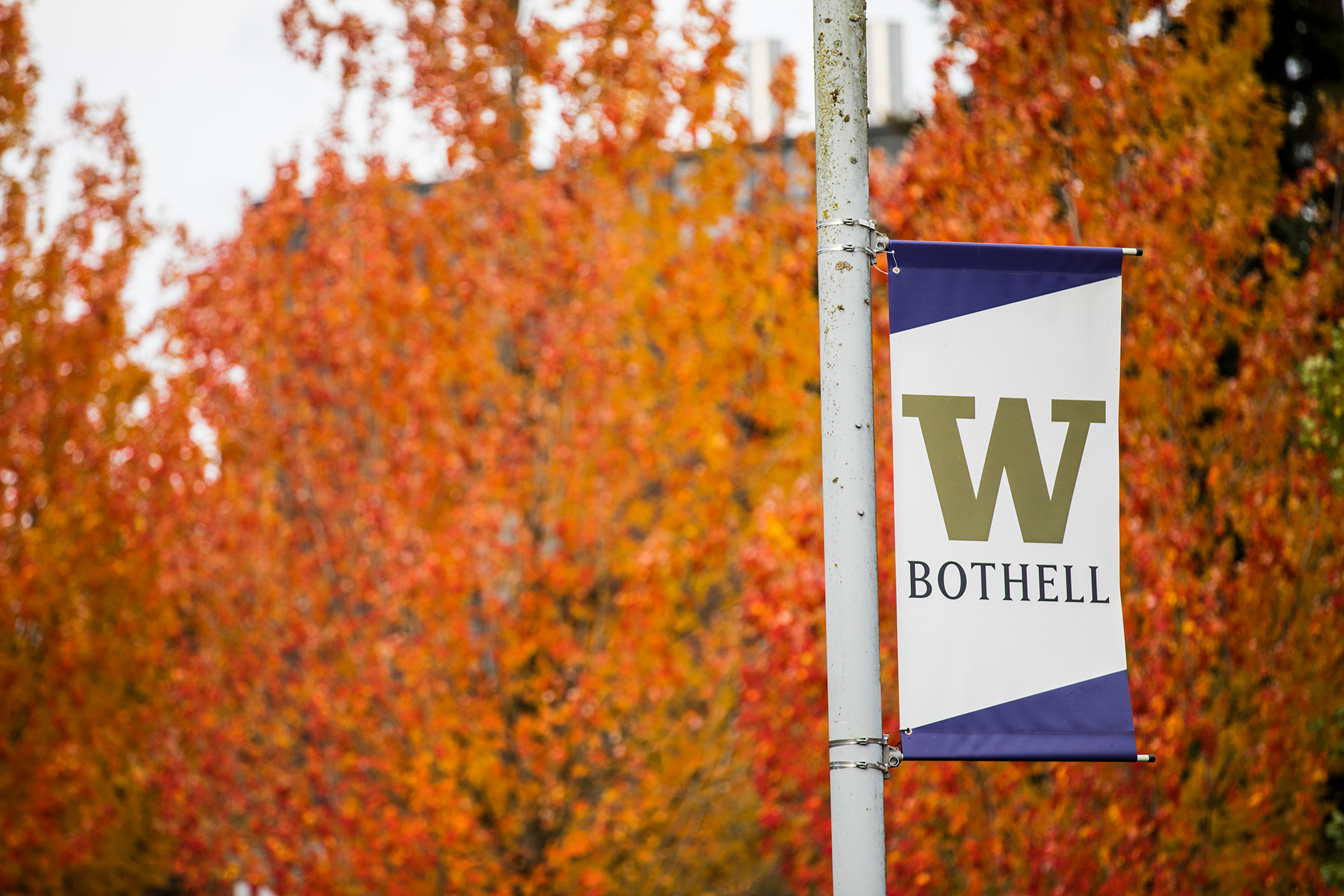 UW Bothell banner with orange leaves in background