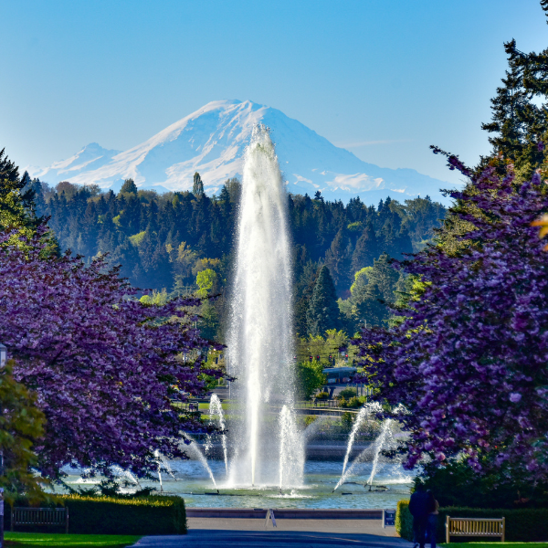 Templates and Resources, 